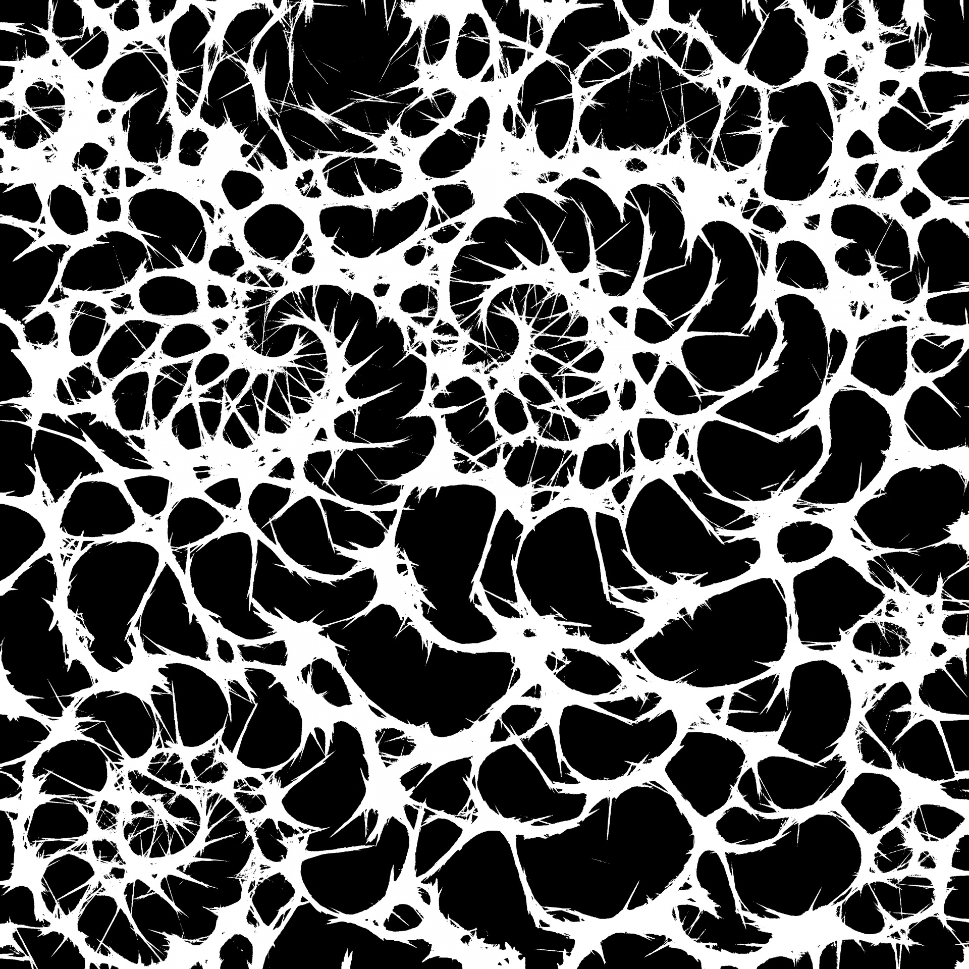 Drawing,fractal,thorns,pattern,effect - free image from needpix.com