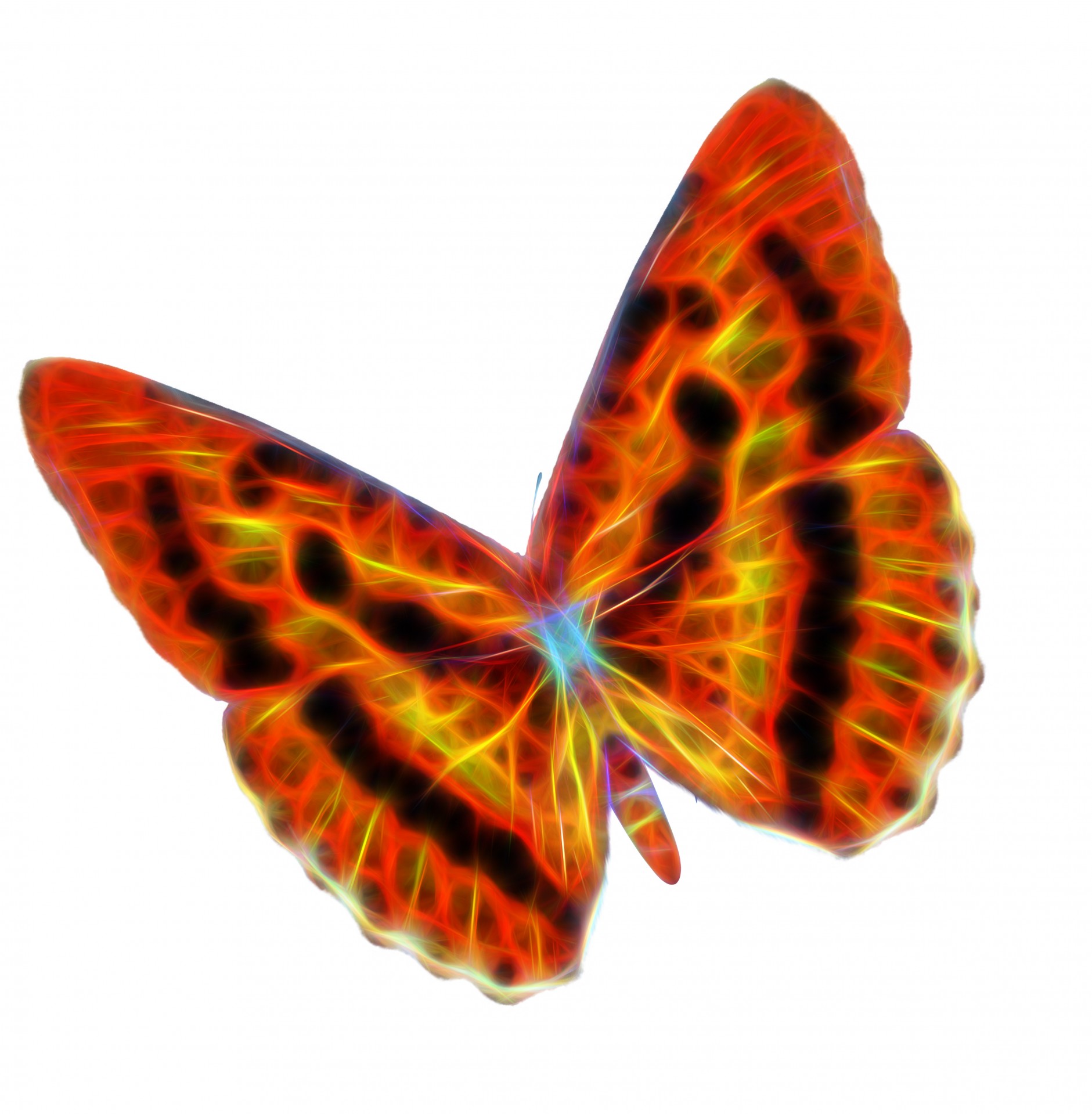 fractal wire butterfly orange blend fractal fractal butterfly free photo