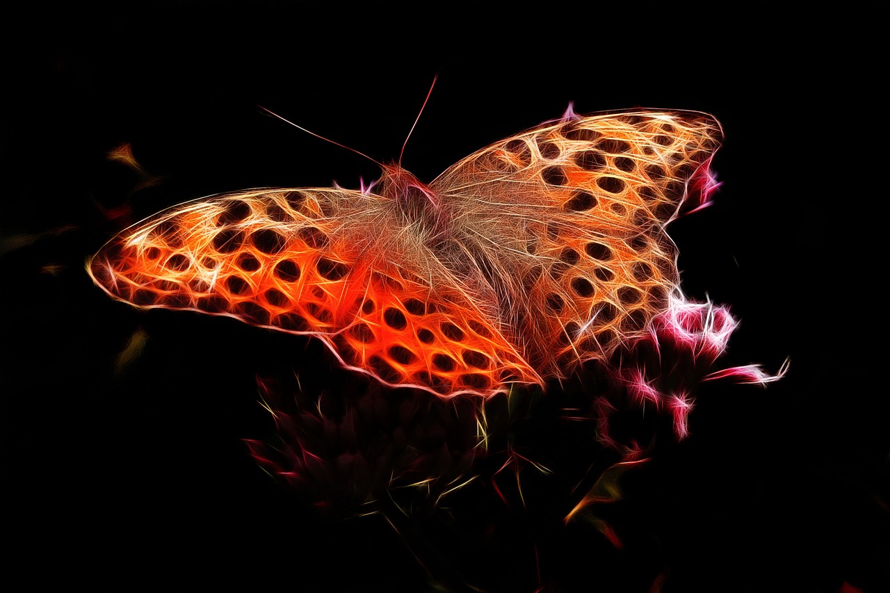 fractalius fiery mother-of-pearl moth edelfalter free photo