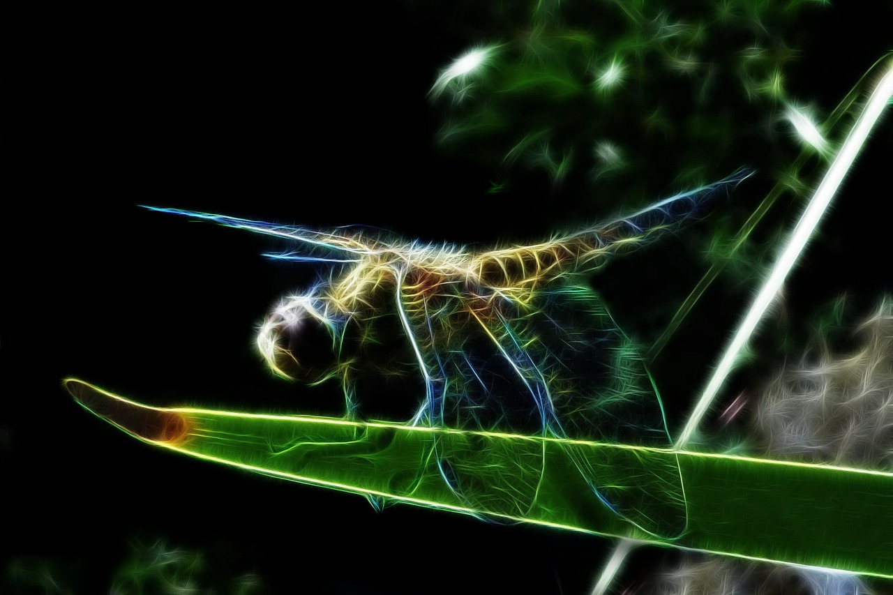 fractalius four-spotted dragonfly dragonfly free photo