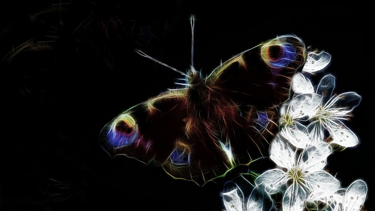 fractalius peacock butterfly nature free photo