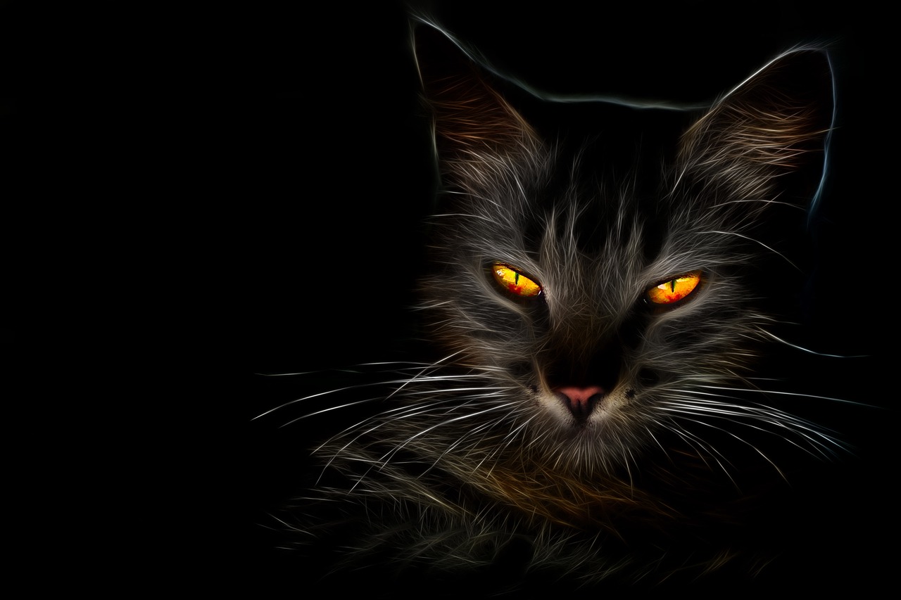 fractalius  cat  fiery free photo