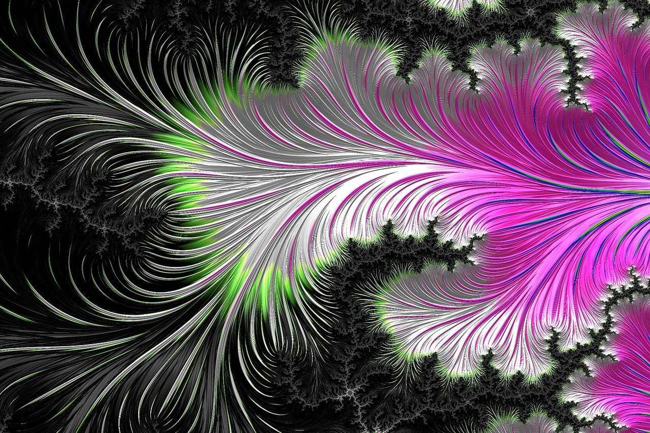 fractals feather black free photo