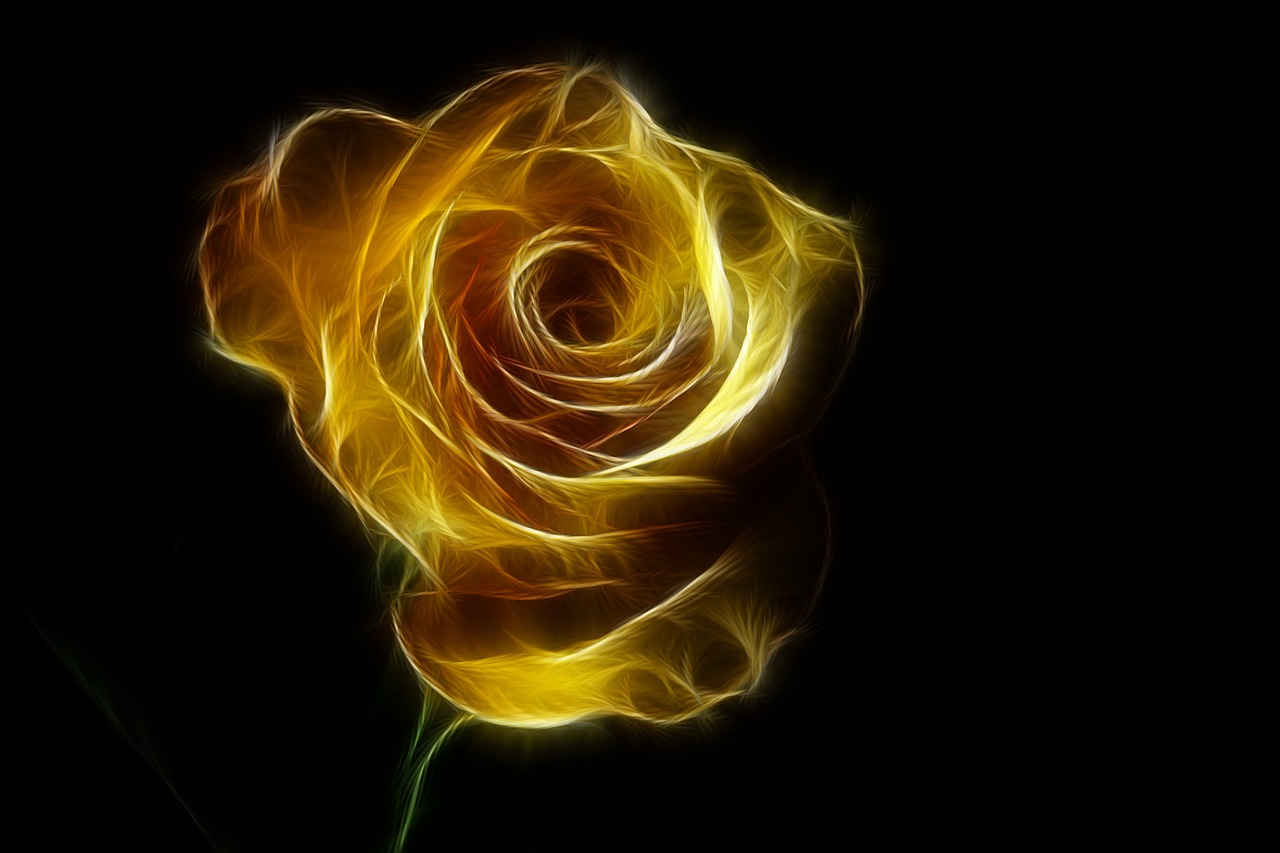 fractals  rose  flower free photo