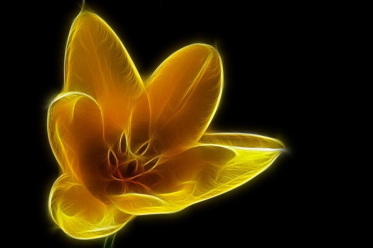 fractals  tulip  yellow free photo