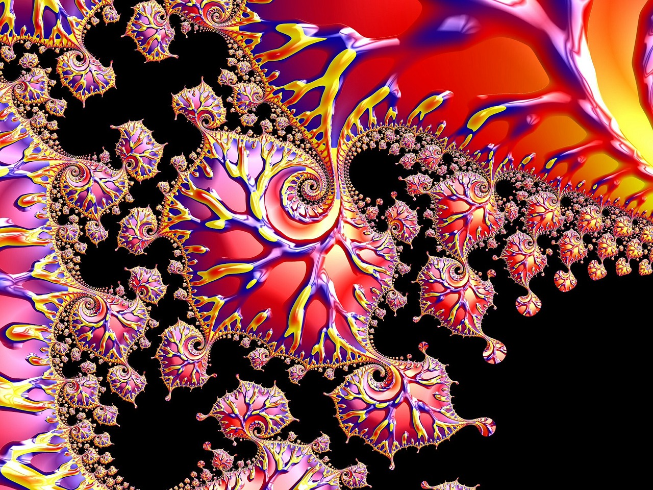 fractals colorful pattern free photo
