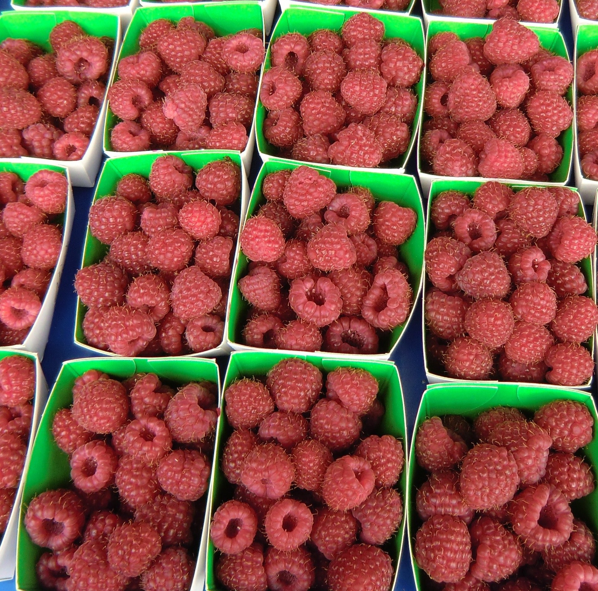 raspberries boxes market free photo
