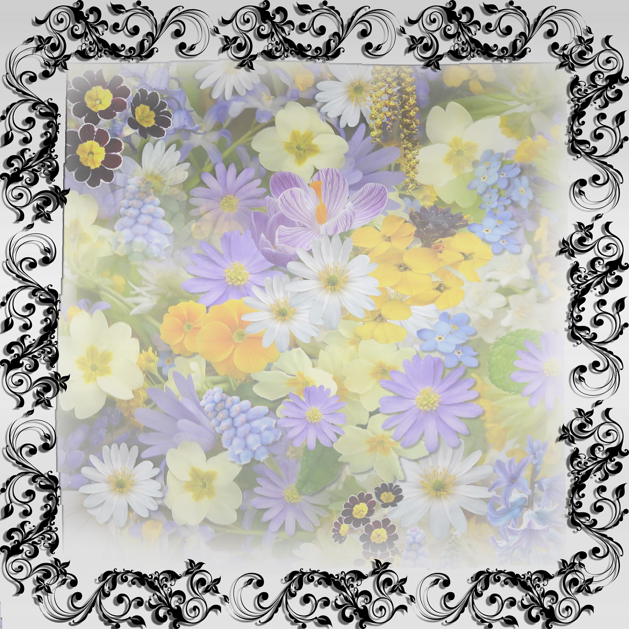 frame template flowers free photo