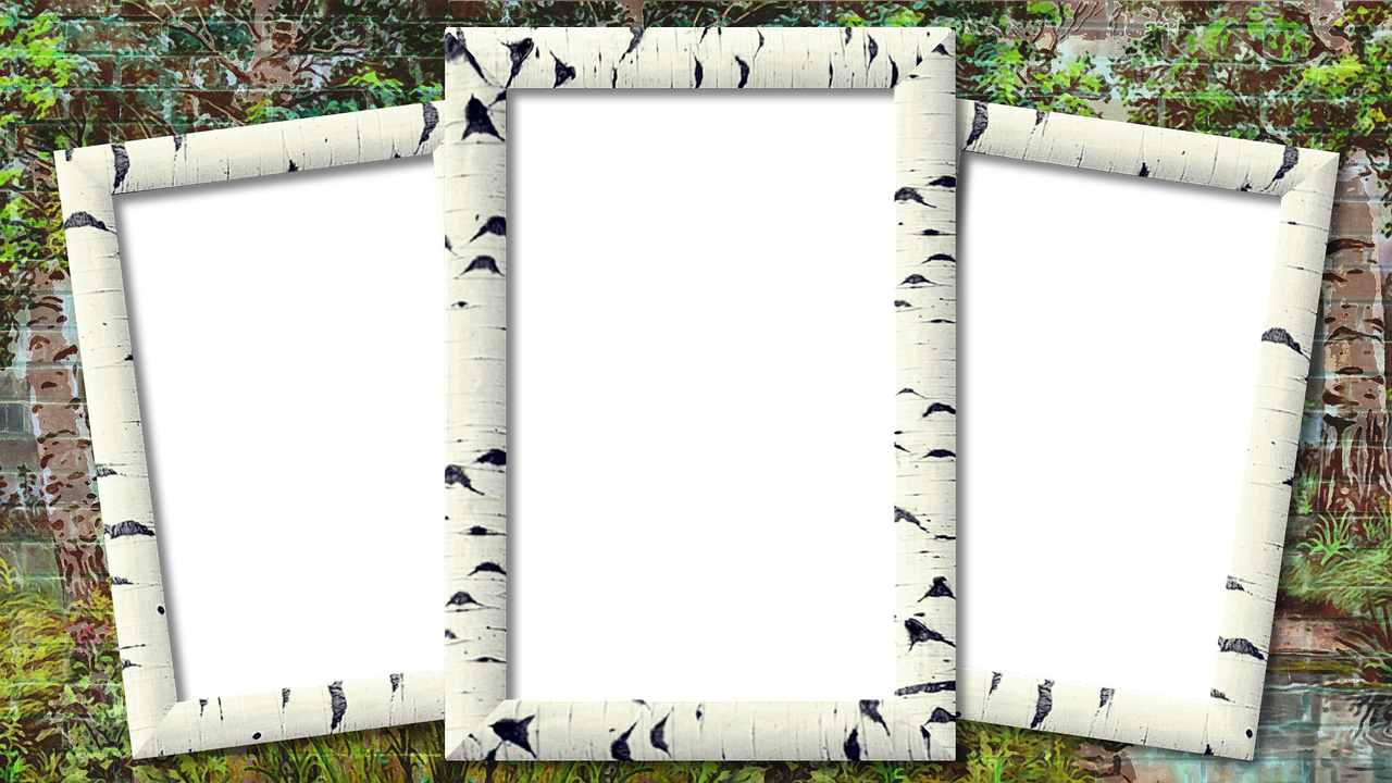 frame photo frame birch free photo