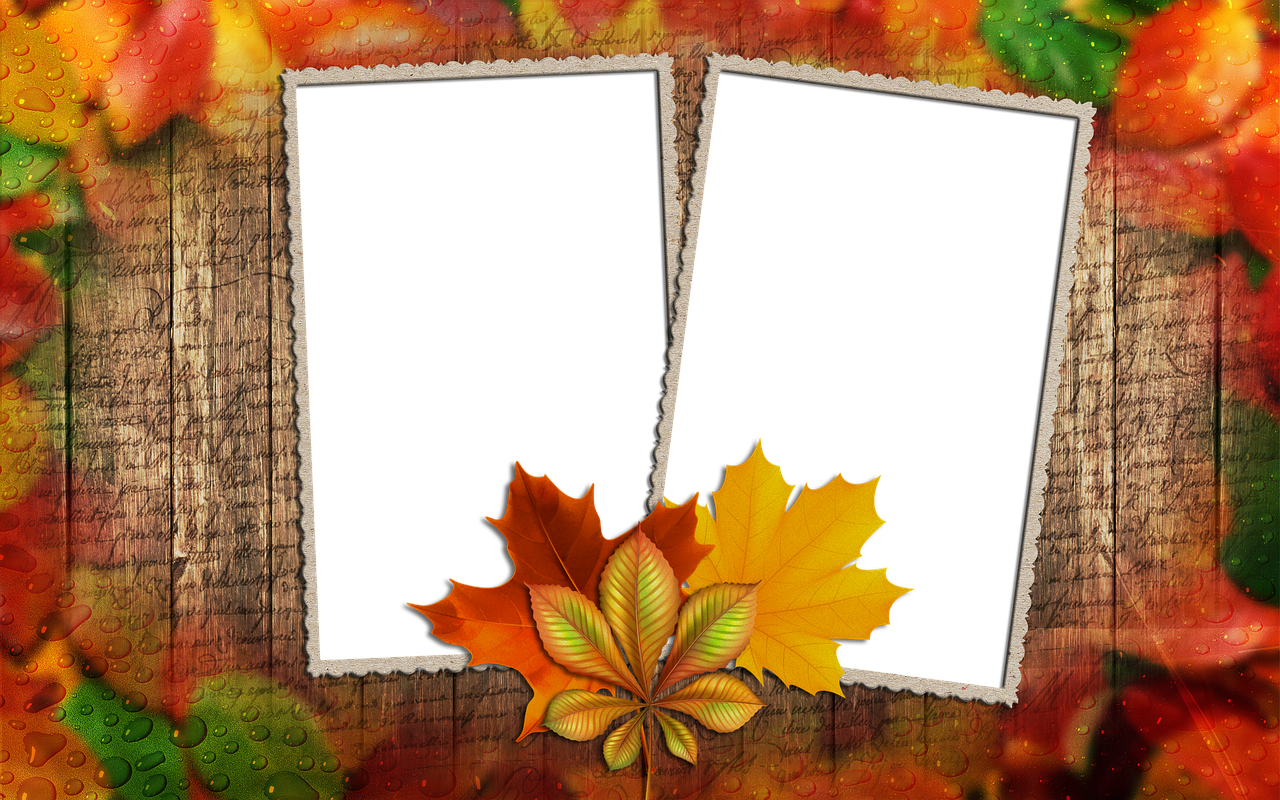 frame photo frame autumn leaf free photo