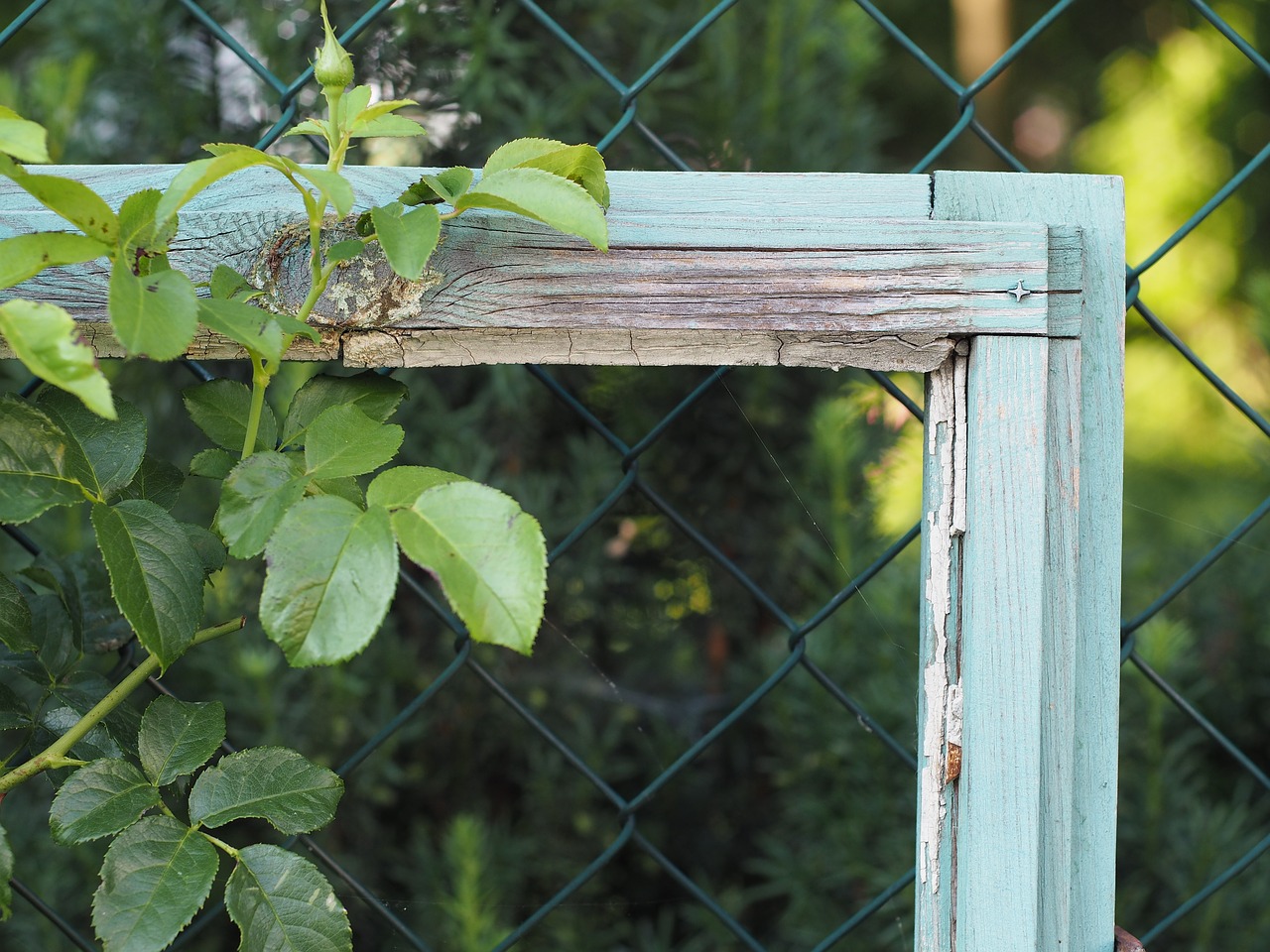 frame window wood free photo