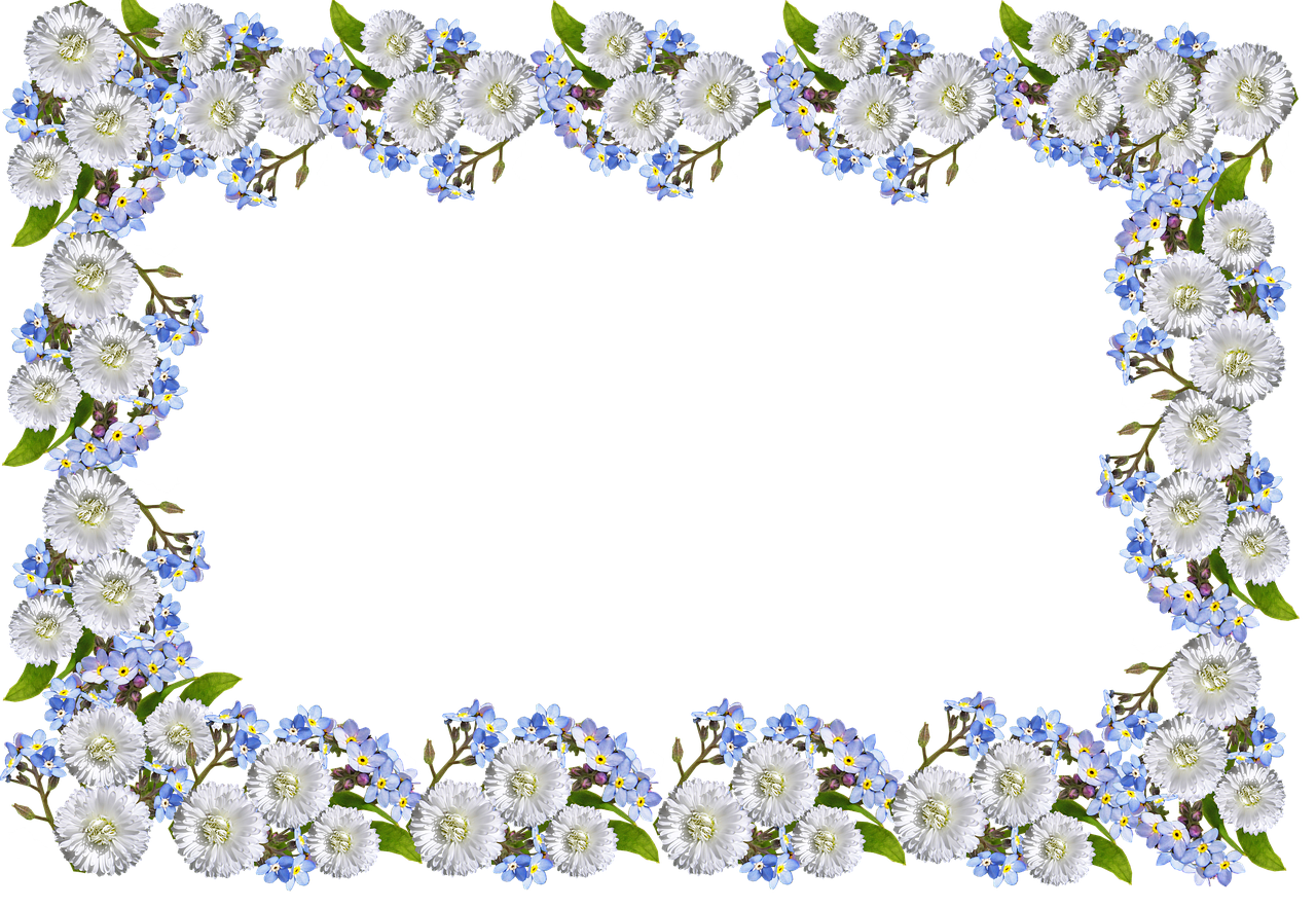 frame daisies forget me not free photo