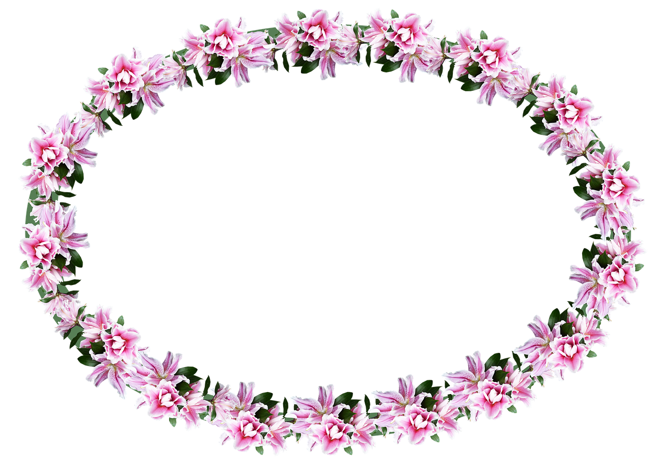 frame lilies pink floral free photo