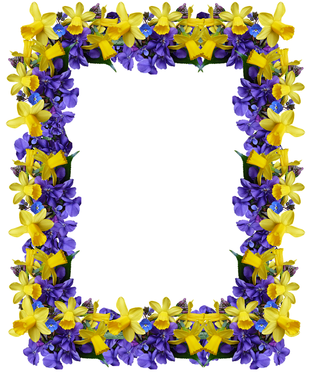 frame spring flowers free photo