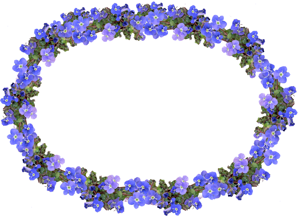 frame blue floral free photo