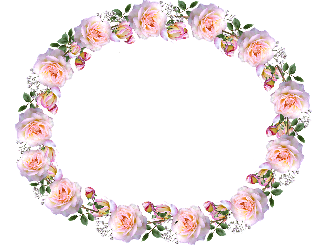 frame border peace rose free photo