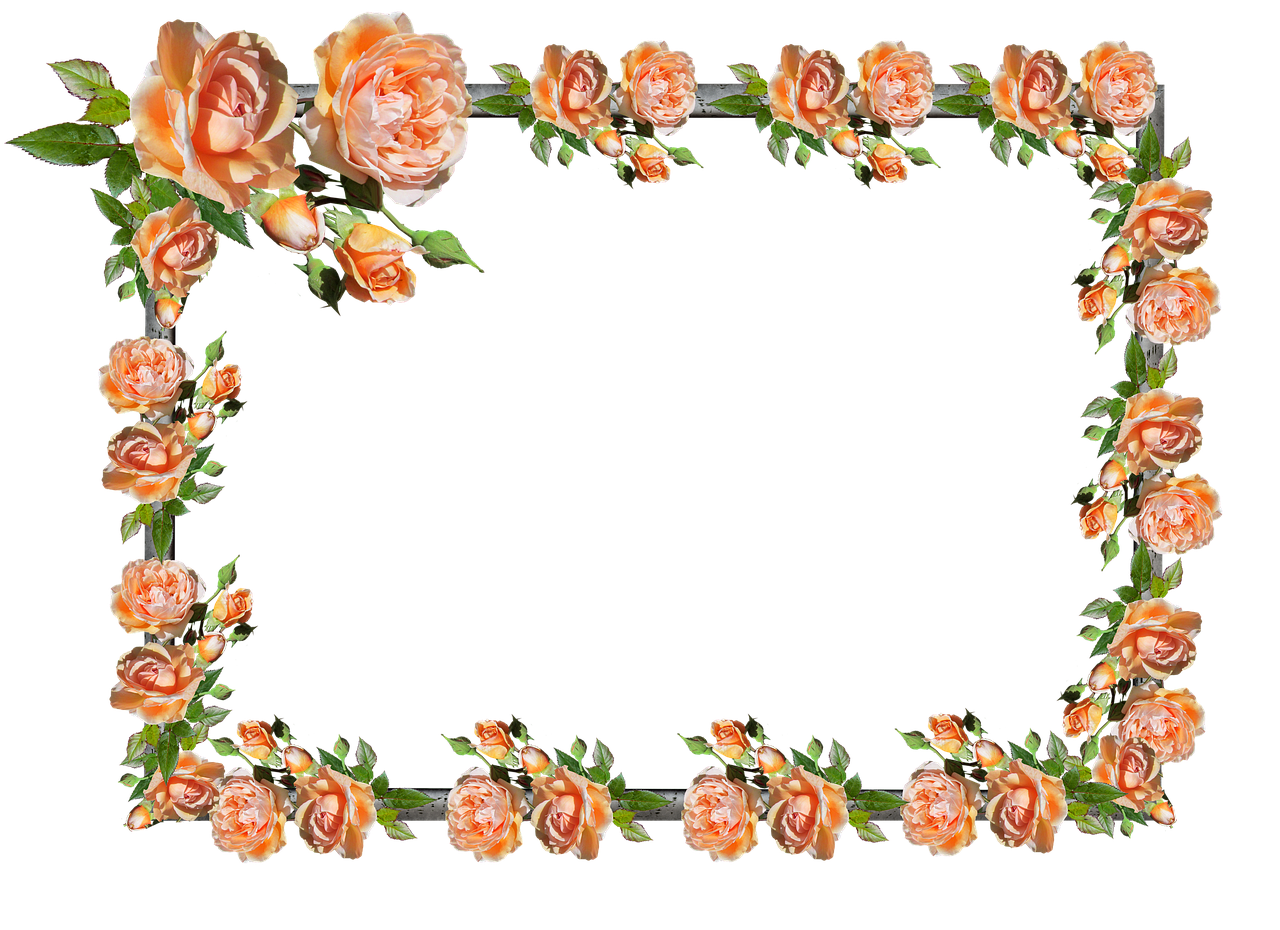 frame border rose free photo