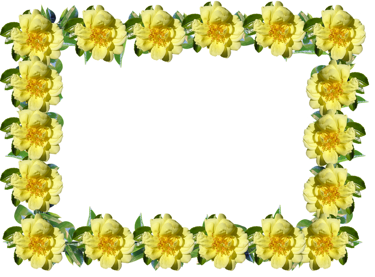 frame border rose free photo