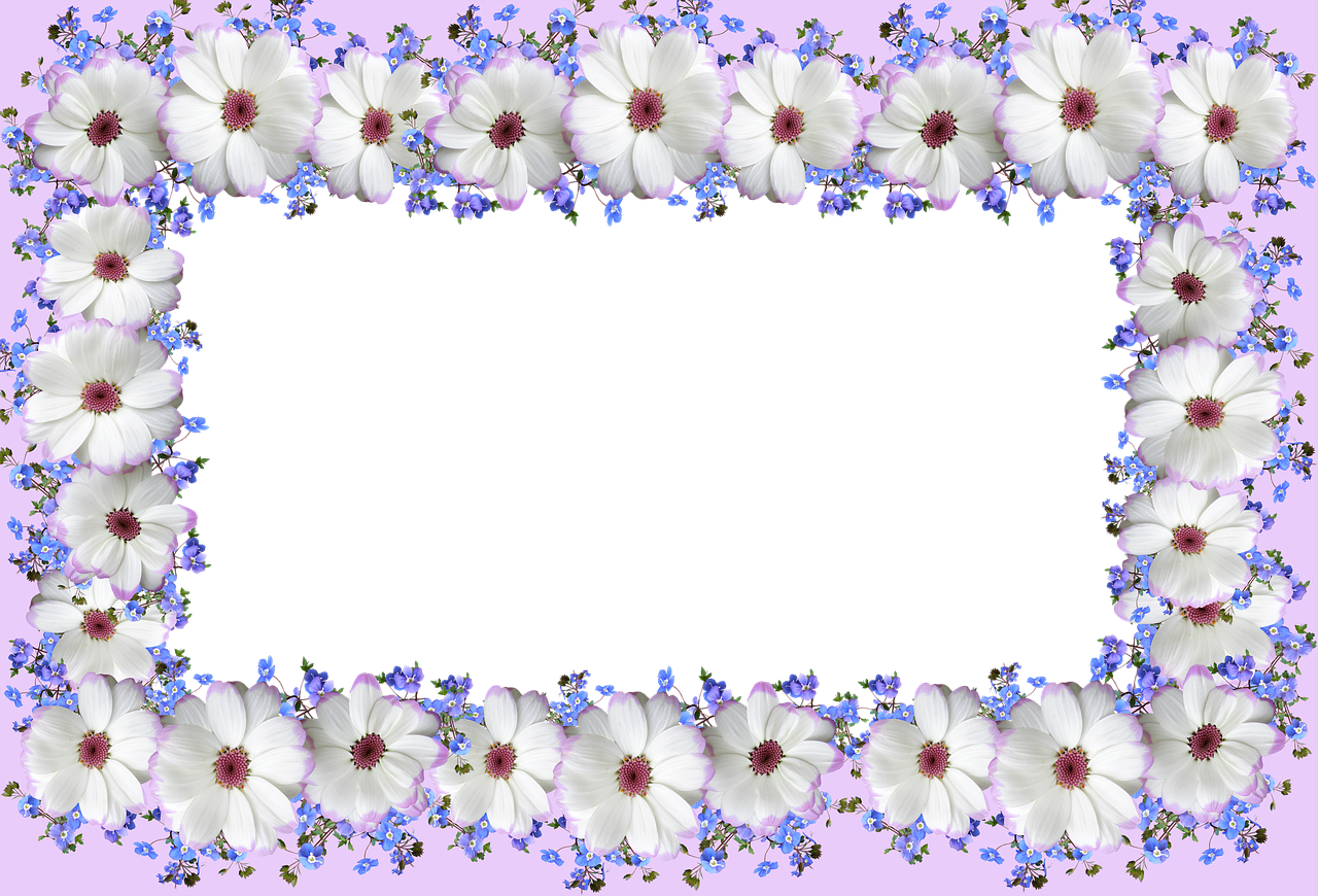 frame border floral free photo