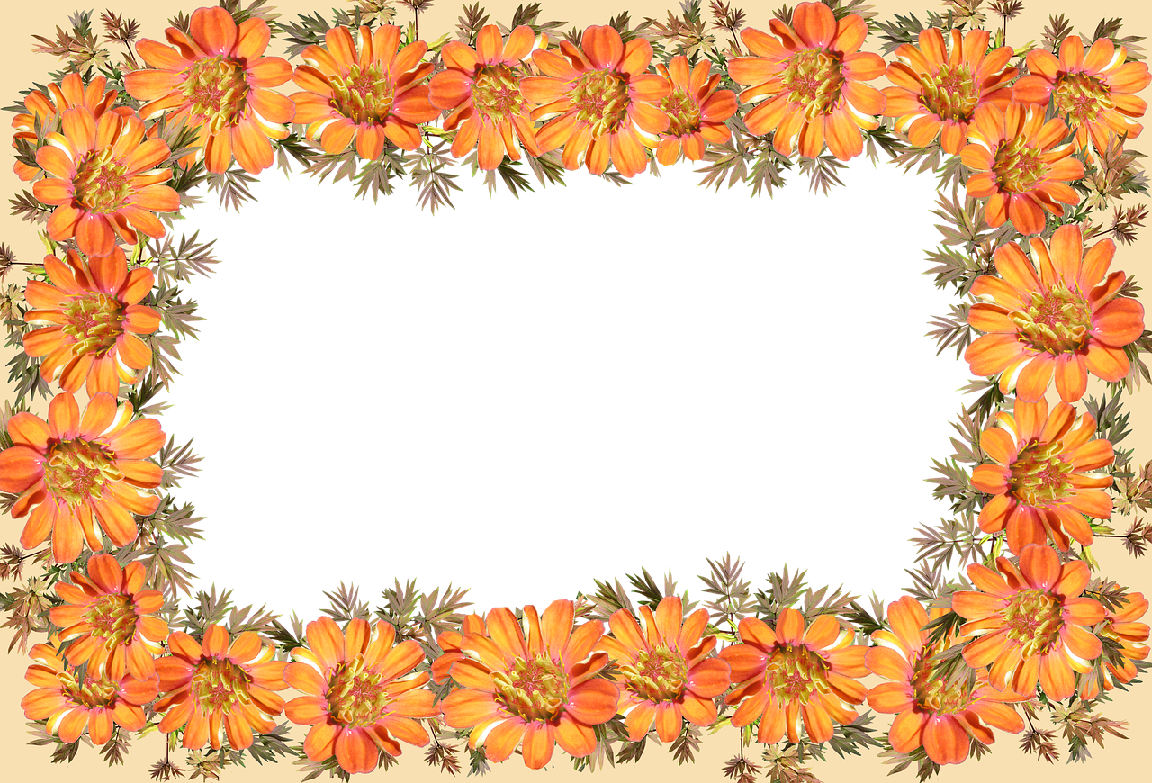 frame border decorative free photo