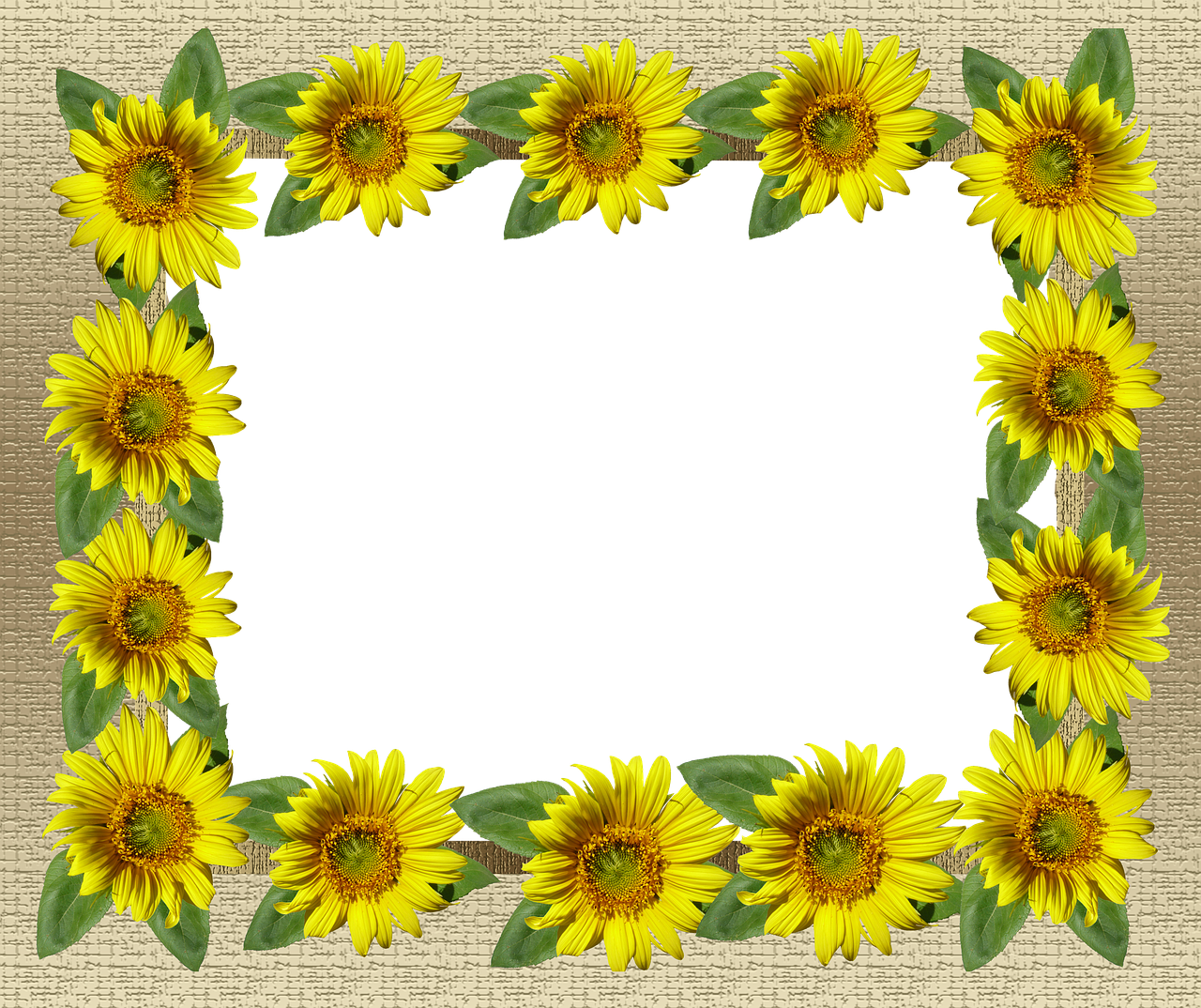 frame gold sunflower border free photo