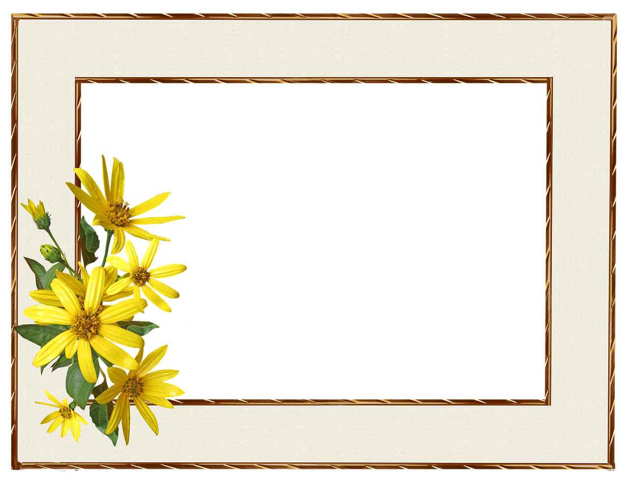 frame border yellow flower free photo