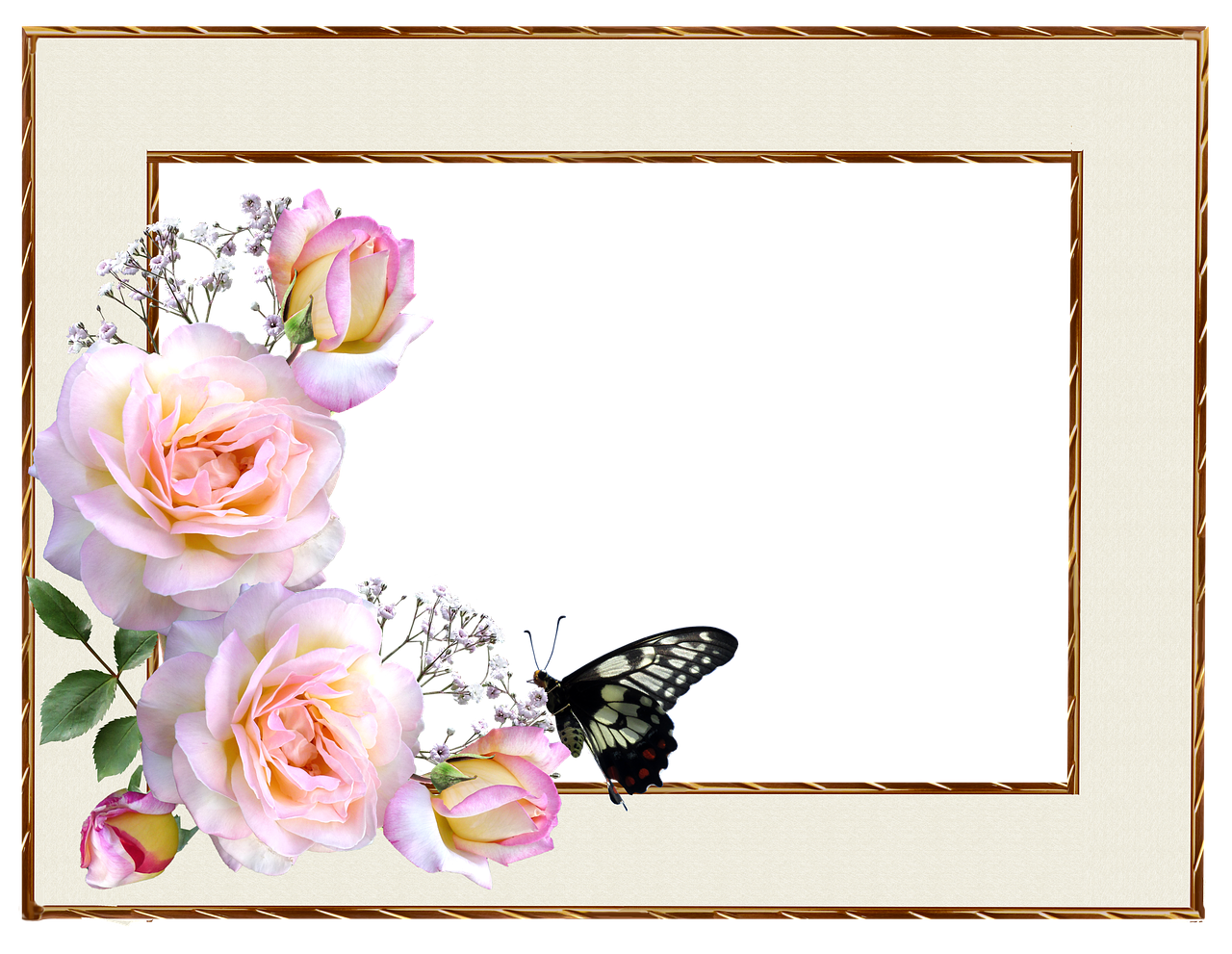 frame  border  roses free photo