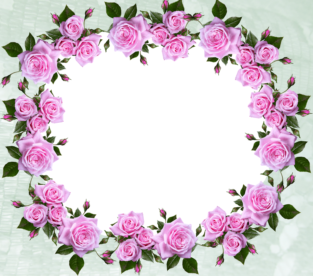 frame  border  roses free photo