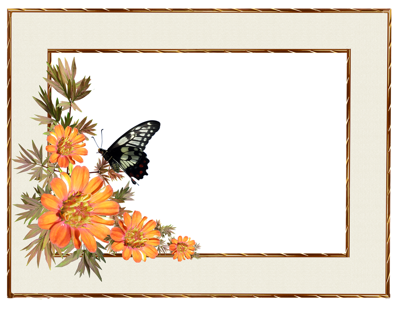 frame  border  flowers free photo