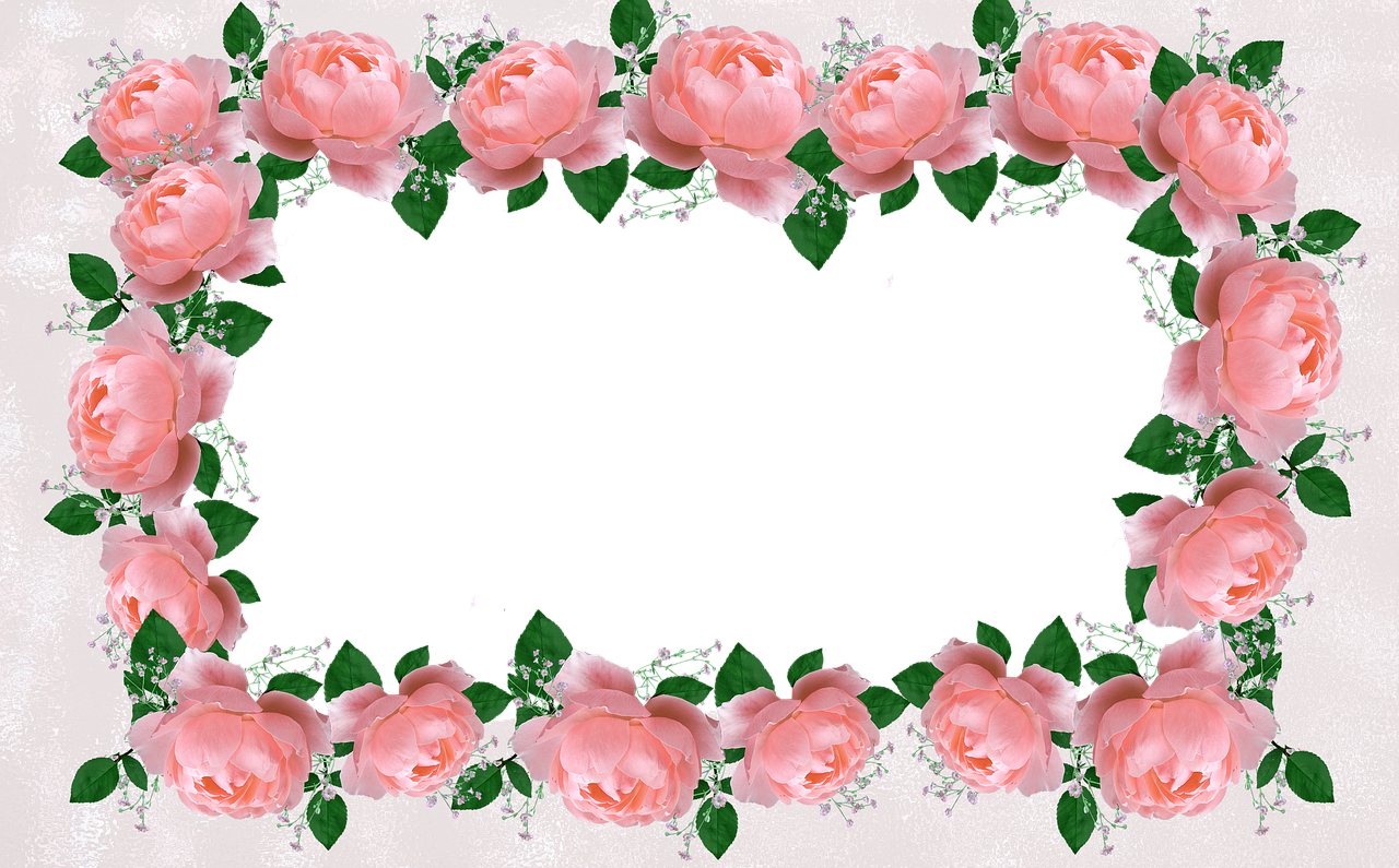 frame  border  decorative free photo