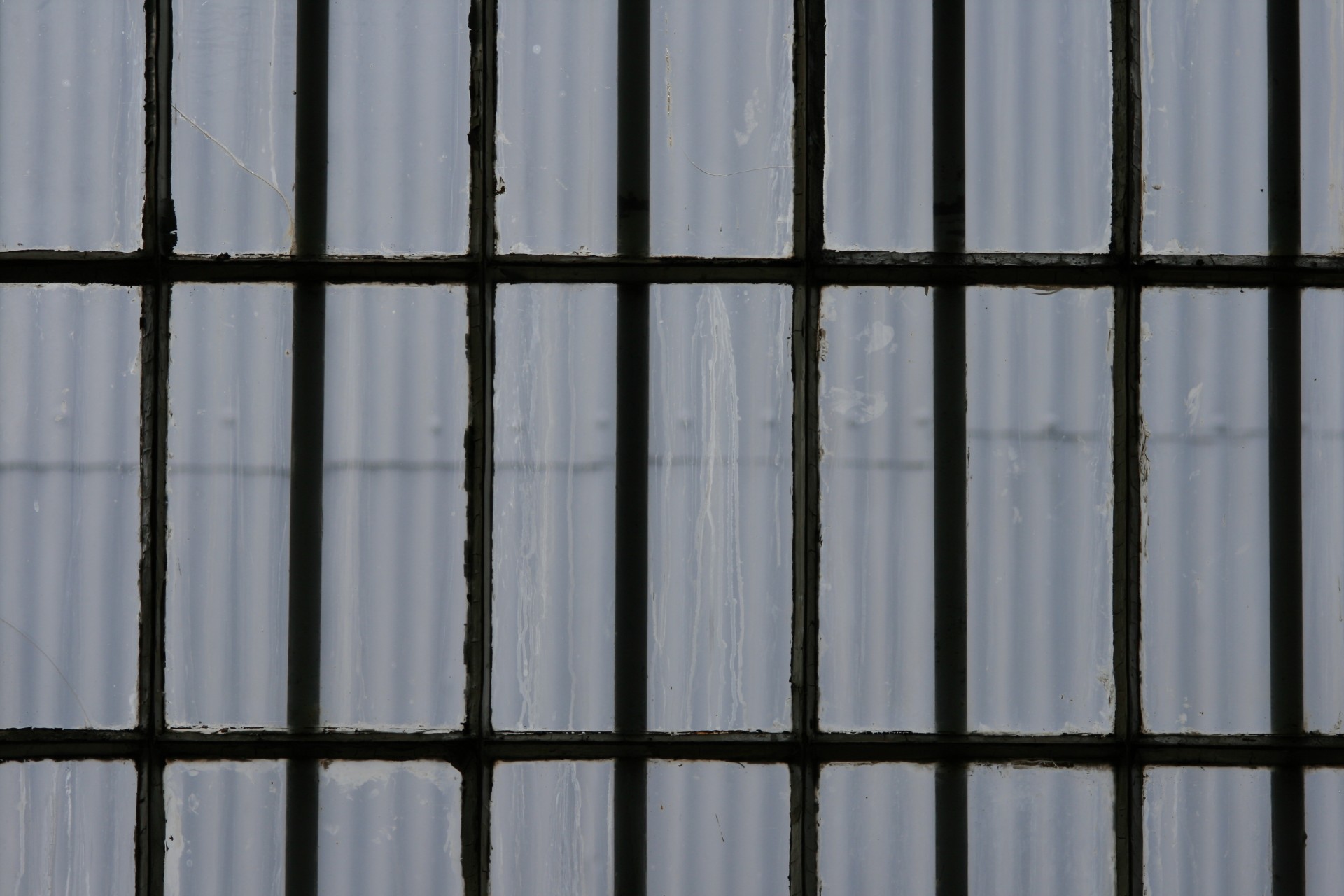 window glass panes free photo