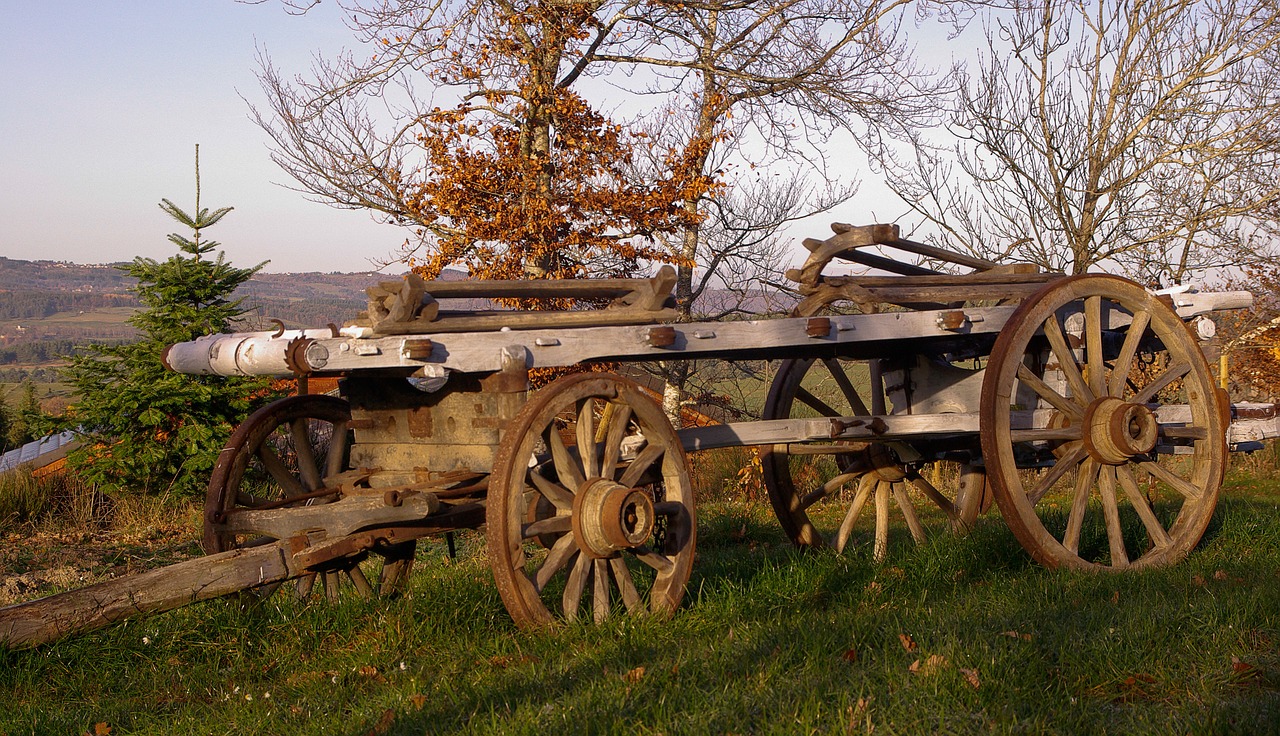 france cart farmer free photo