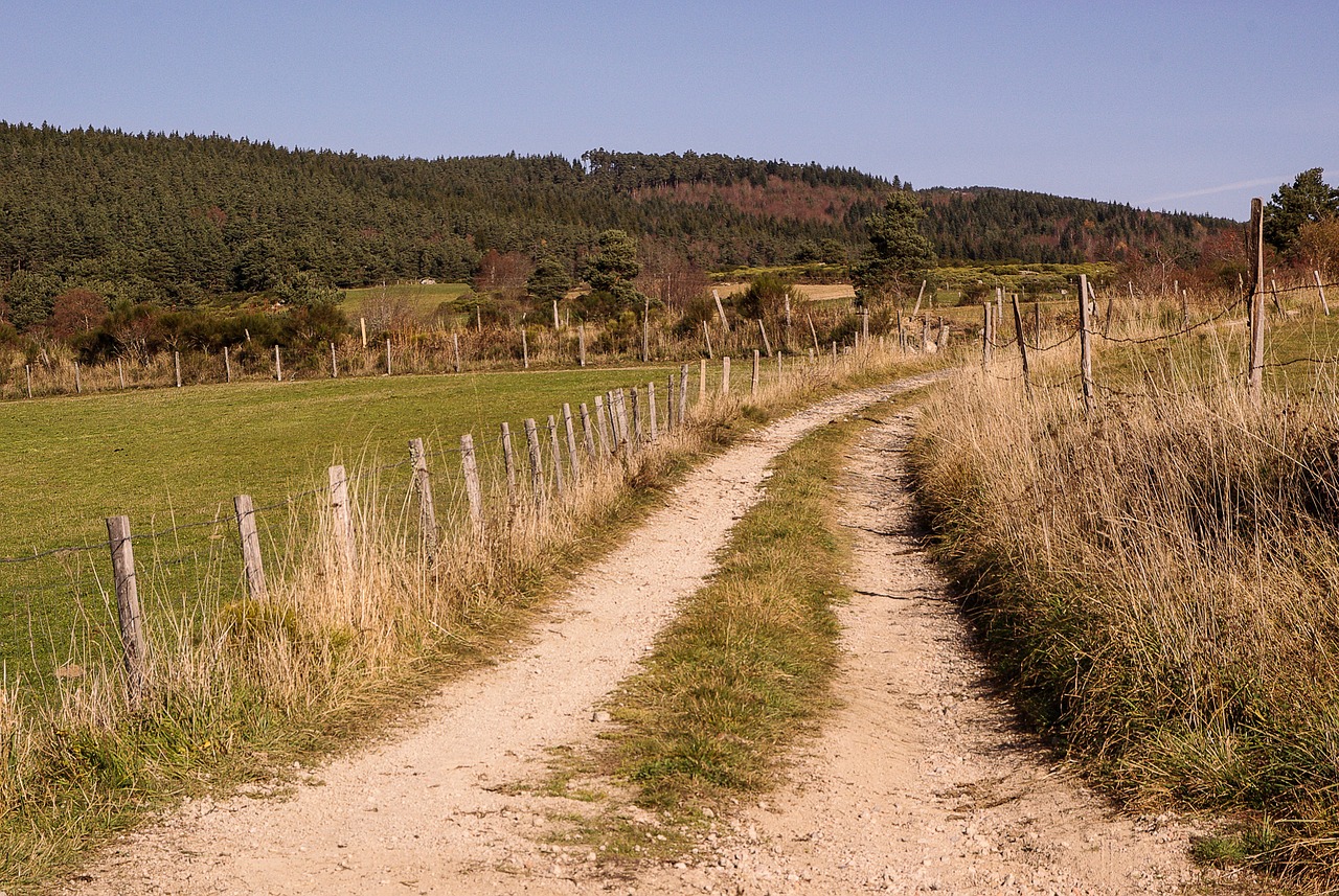 france lozère pasture free photo