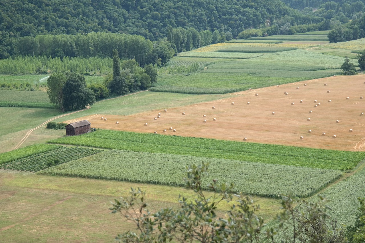 france field country free photo