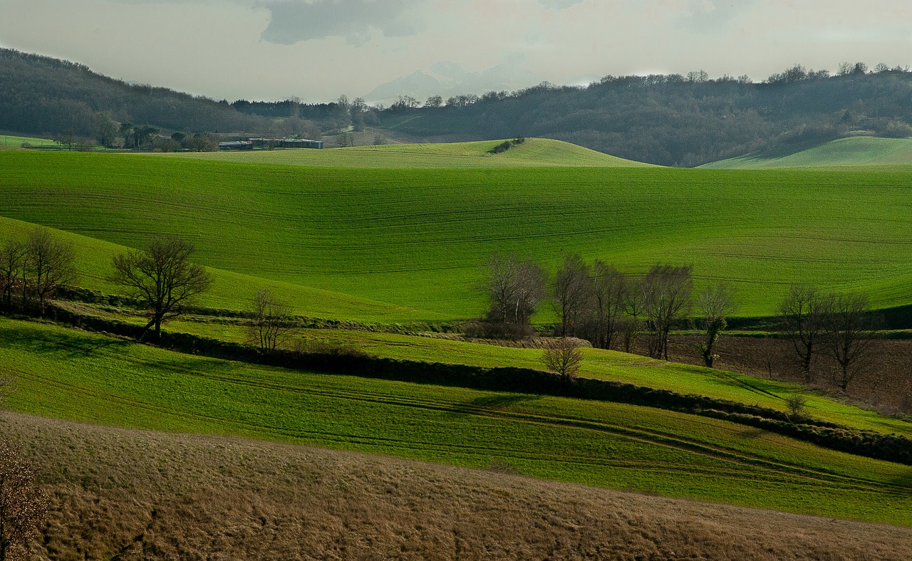 france lala hills free photo