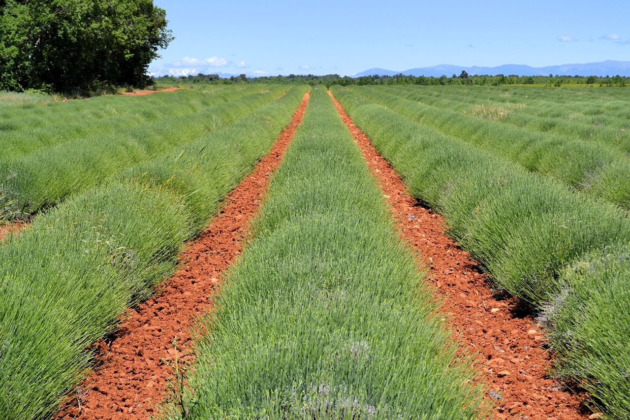 france provence greoux-les-bains free photo