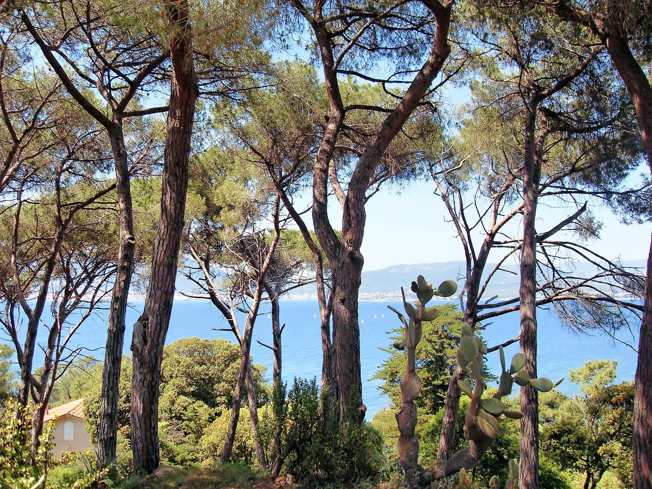 france corsican ajaccio bay free photo