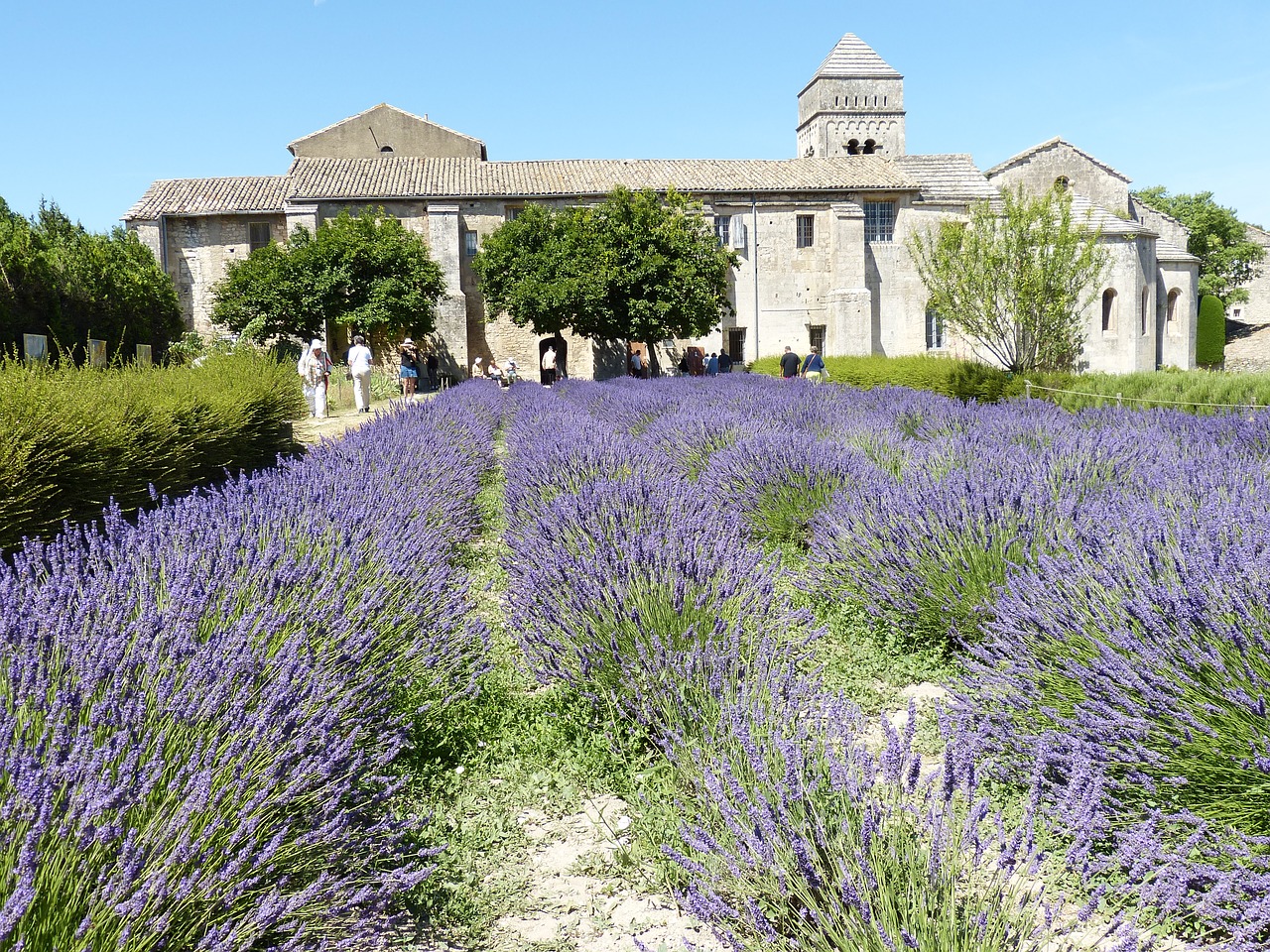 france st remy provence free photo