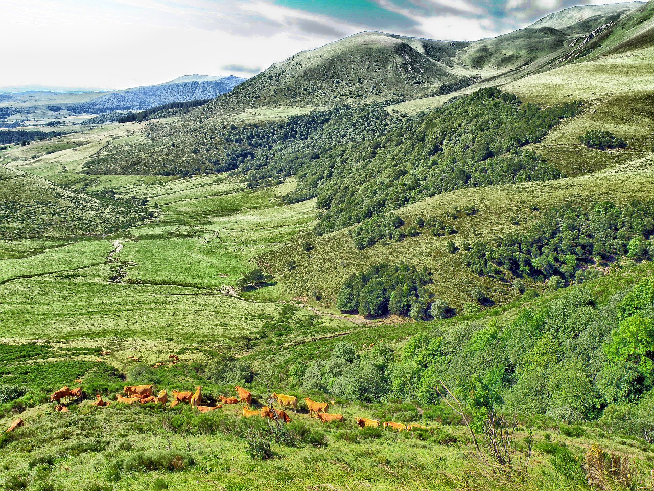 france landscape scenic free photo