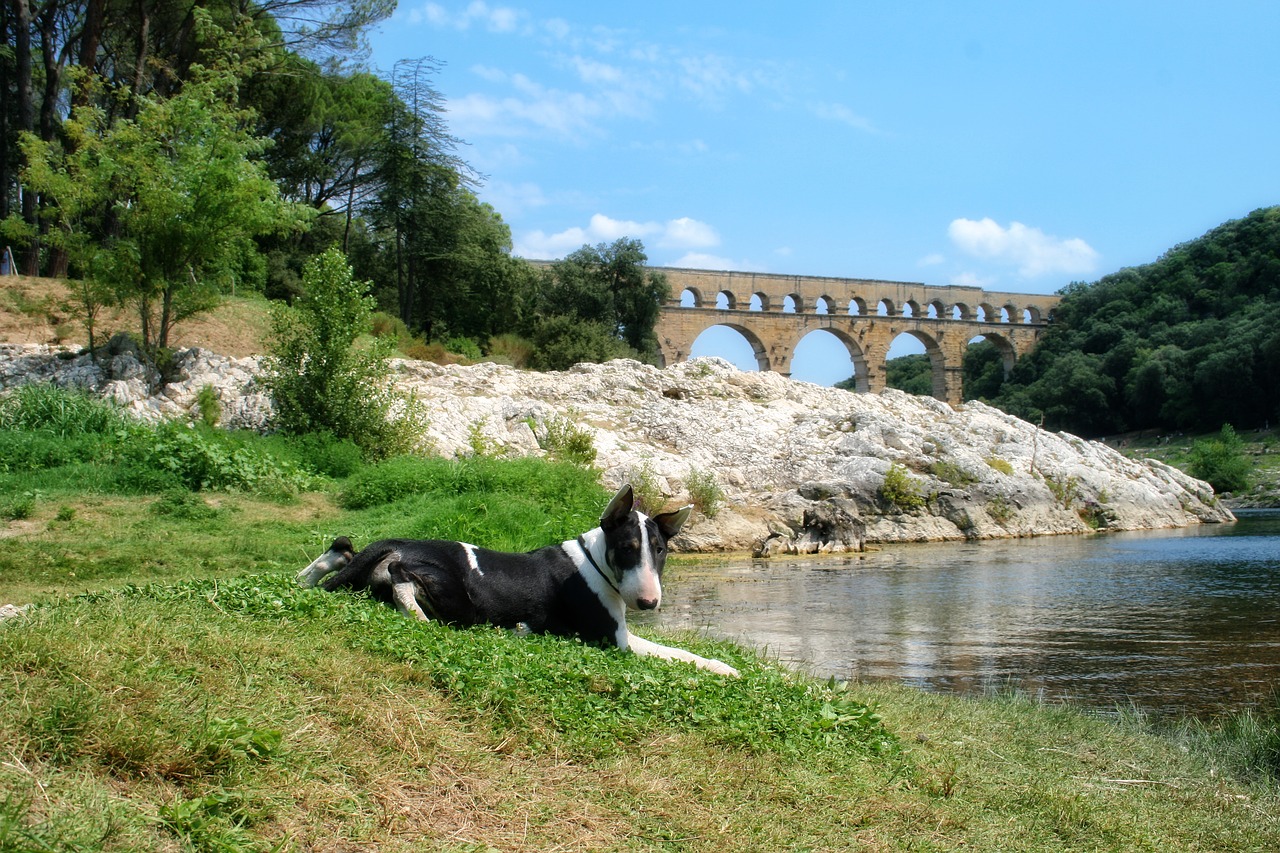 france gard provence free photo