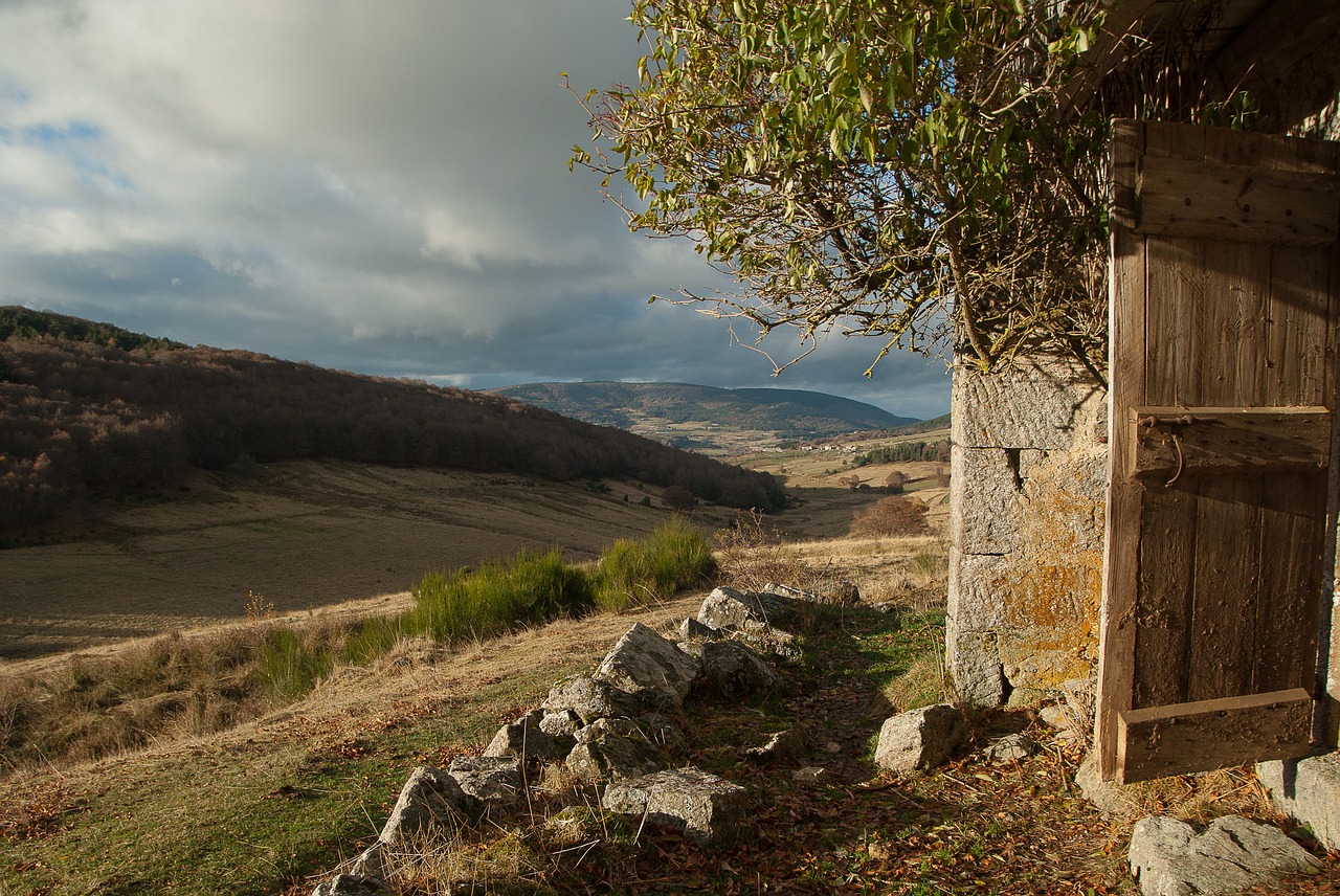 france lozère pasture free photo