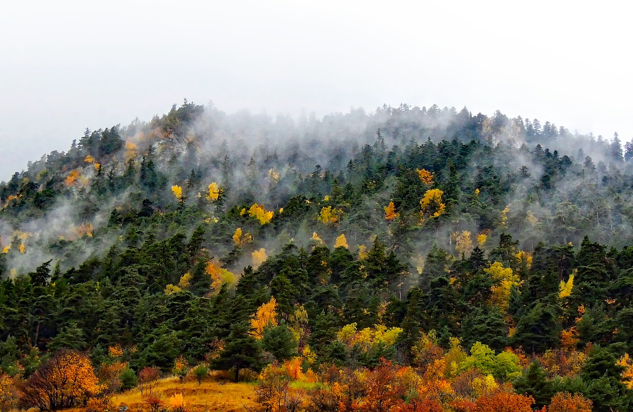 france fog autumn free photo