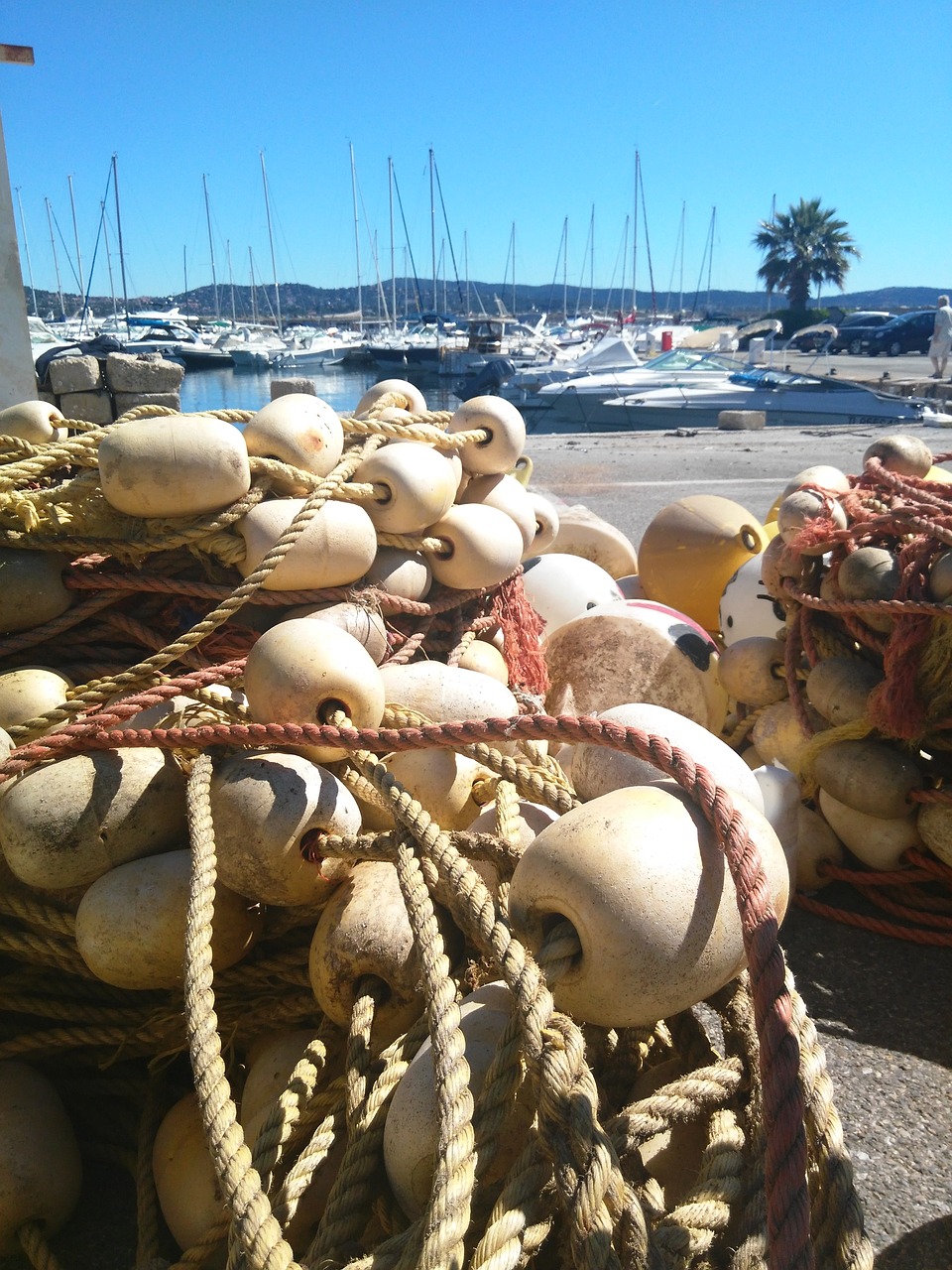 france seaside harbour free photo