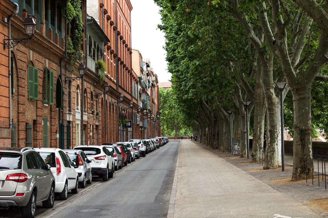 france toulouse architecture free photo