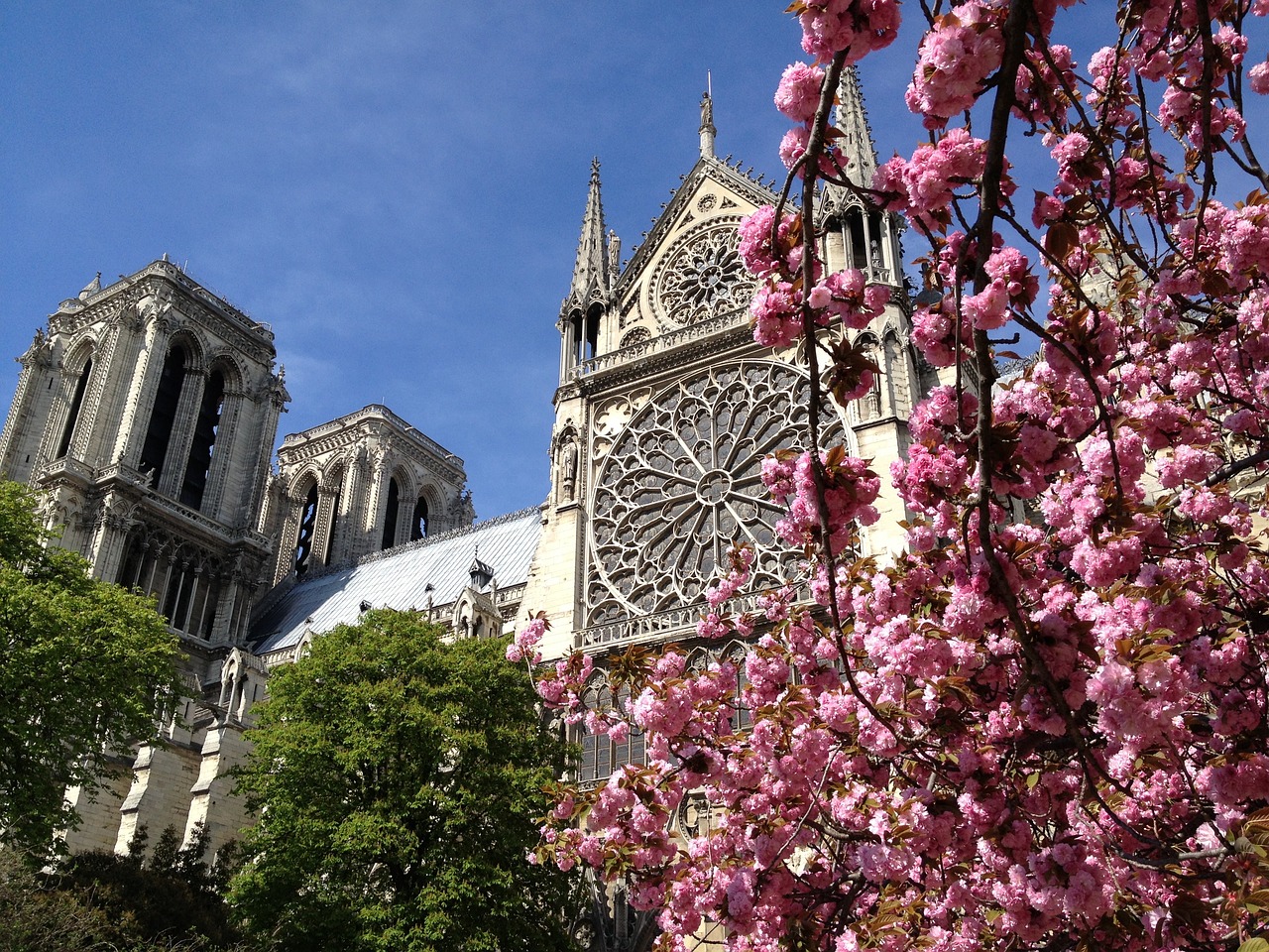 france paris spring free photo