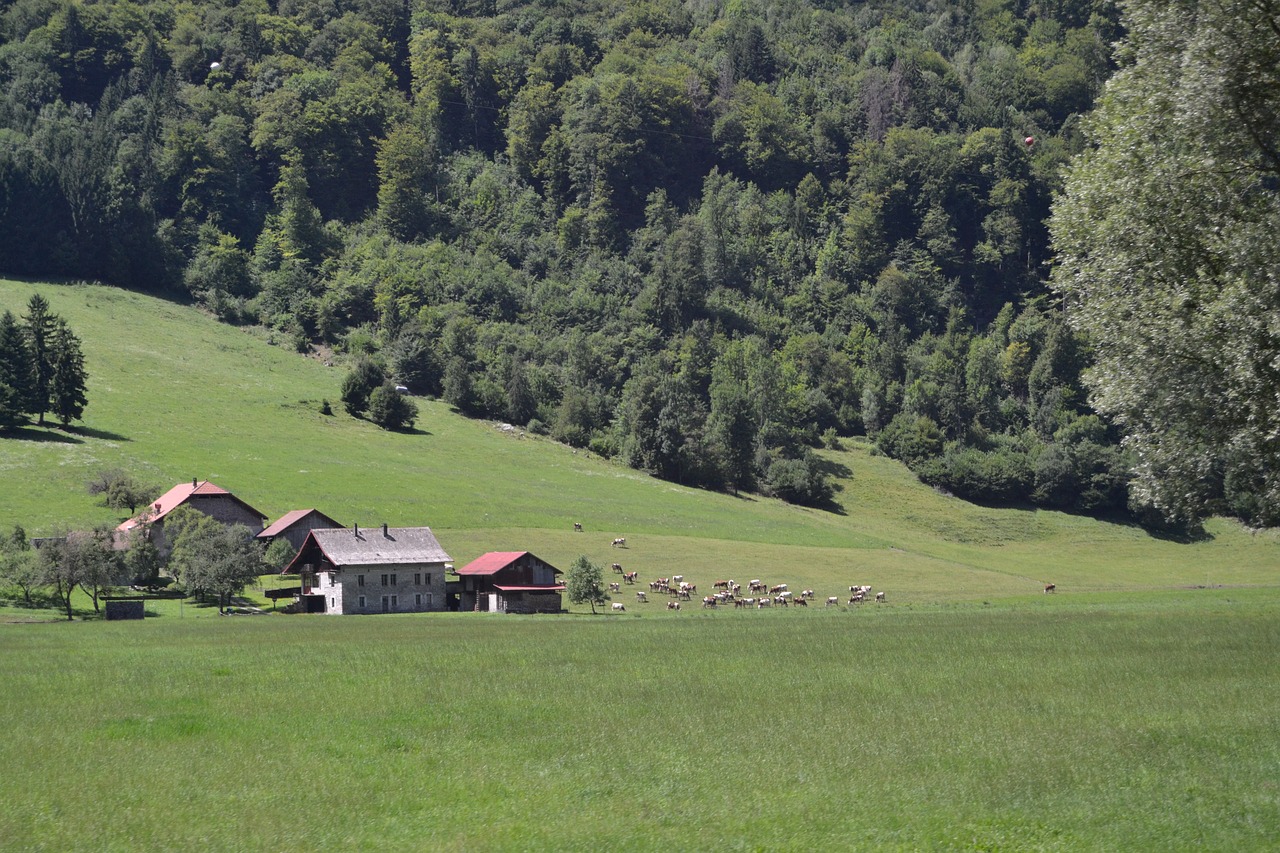 france field village free photo