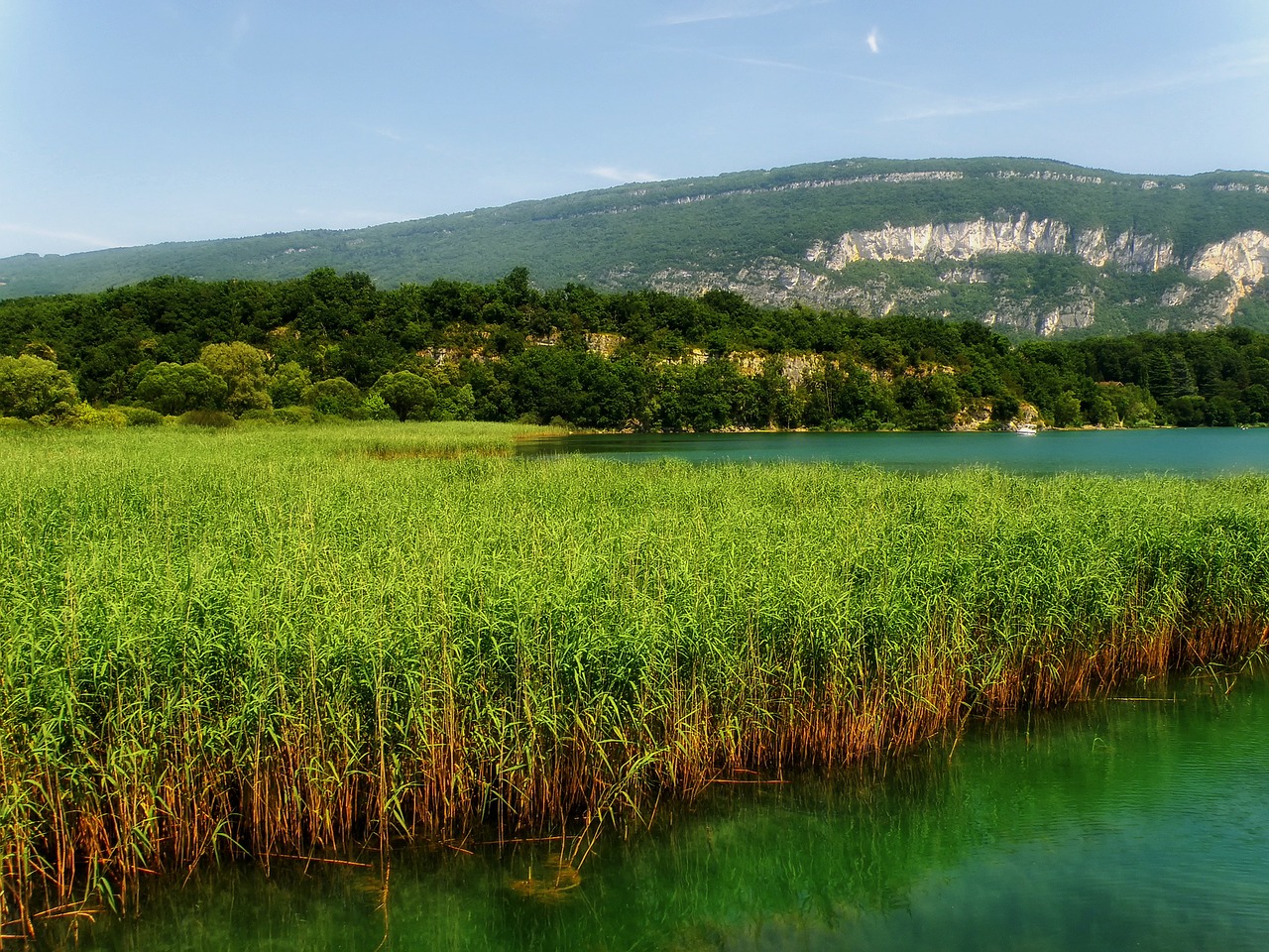 france marsh water free photo