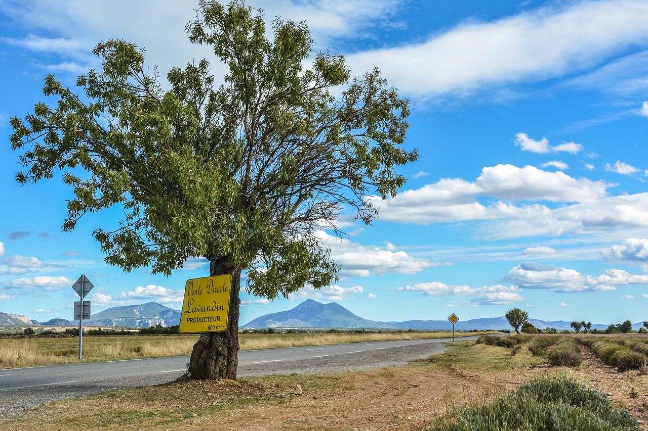 france provence nature free photo