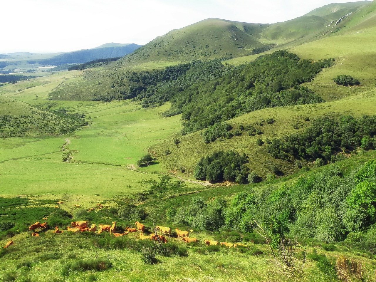 france landscape scenic free photo