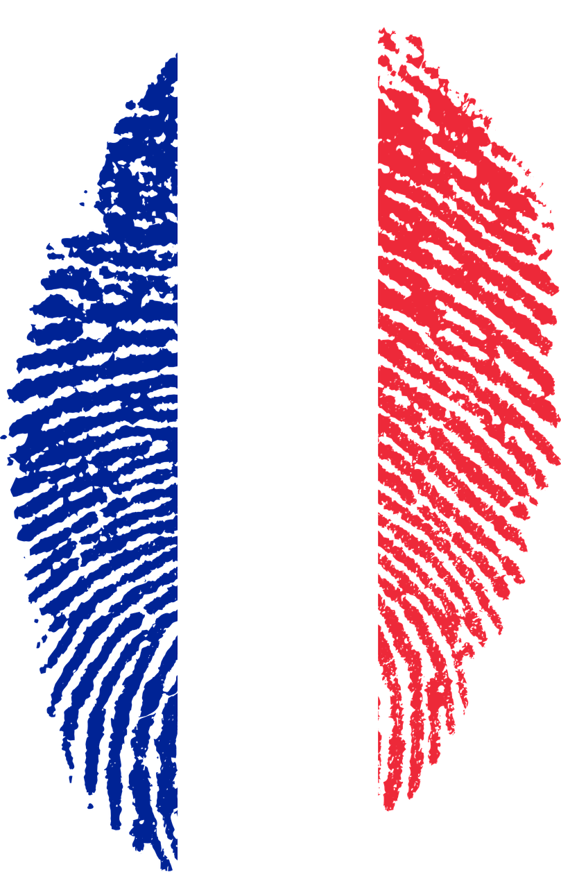 france flag fingerprint free photo